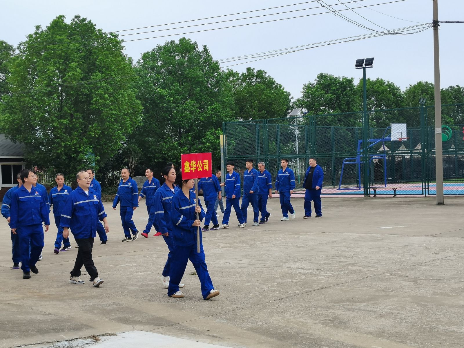 19体育app官网登录入口