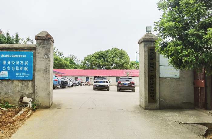 阳新县大林山矿业有限公司